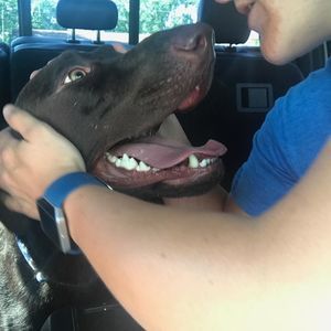 Meet your Posher, Miranda